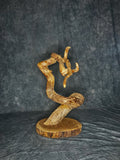 Twisted pine taxidermy pedestal