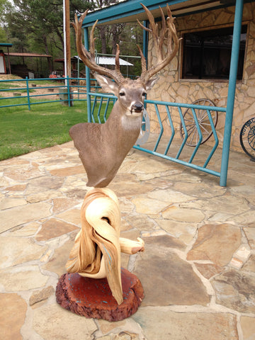 Custom Taxidermy Pedestals &amp; Displays