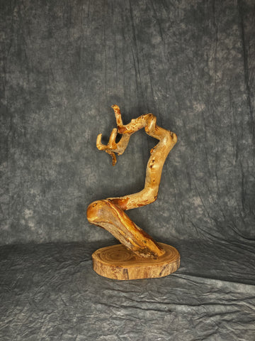 Twisted pine taxidermy pedestal